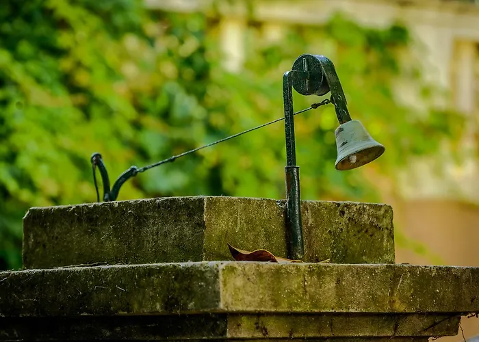 Donna Paola Ντουμπρόβνικ